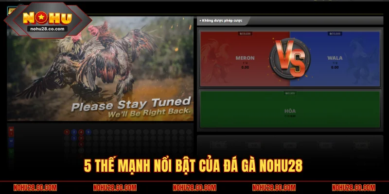 5 thế mạnh nổi bật của đá gà NOHU28