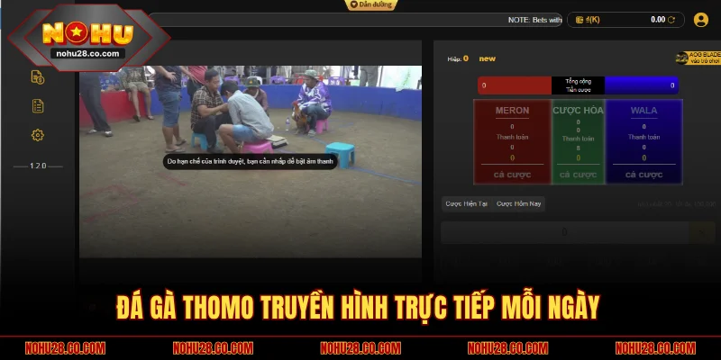 Đá gà Thomo truyền hình trực tiếp mỗi ngày