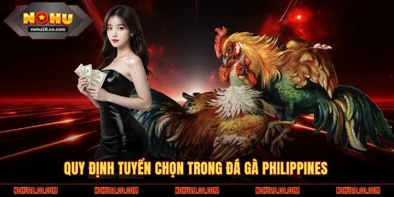 Đá Gà Philippines - Trận Đấu Khốc Liệt, Luật Lệ Gay Cấn 2 Quy định tuyển chọn trong đá gà Philippines