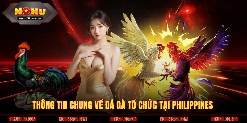 Đá Gà Philippines - Trận Đấu Khốc Liệt, Luật Lệ Gay Cấn 1 Thông tin chung về đá gà tổ chức tại Philippines