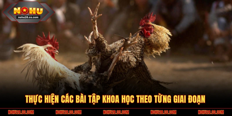 Triển khai chế độ luyện tập khoa học